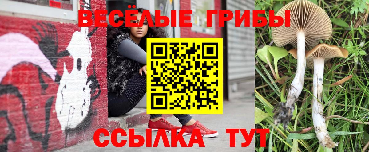 Галлюциногенные грибы мицелий  Псилоцибиновые грибы Psilocybine cubensis  Вход с VPN  Новошахтинск 