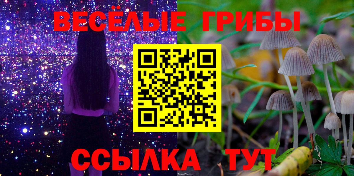 Псилоцибиновые грибы ЛСД Новошахтинск